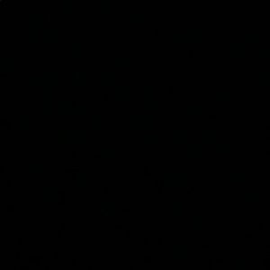 Meet your Posher, Kami